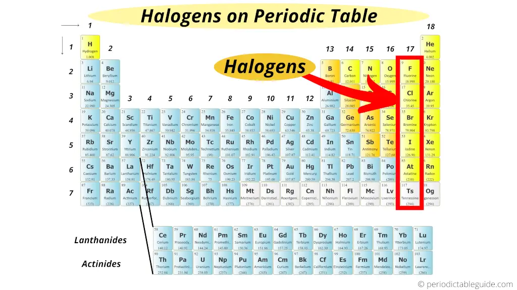 Halogens in periodic table (where are the halogens located on the periodic table)