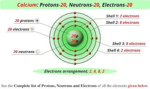 Calcium protons neutrons electrons