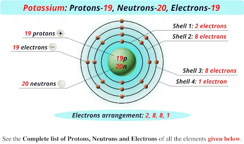 Potassium protons neutrons electrons