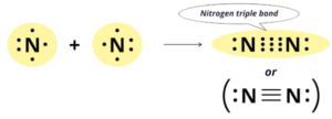 Nitrogen (N) - Periodic Table (Element Information & More)