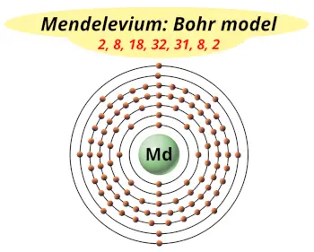 Bohr model of mendelevium (Electrons arrangement in mendelevium, Md)